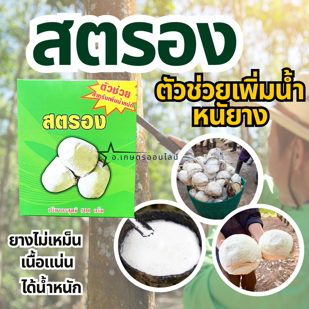 สตรอง ตัวช่วยเพิ่มน้ำหนักยาง