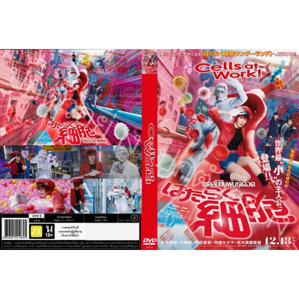 DVDหนังใหม่..CELLS AT WORK ( เซลล์ขยันพันธุ์เดือด ) เสียง. THAI/JAPAN