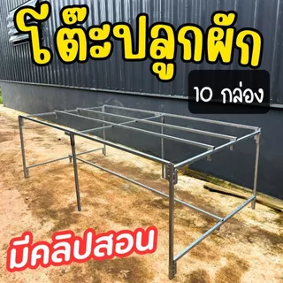 โต๊ะปลูกผักไฮโดรโปนิกส์ โต๊ะปลูกผักสำเร็จรูป ประกอบง่าย (มีคลิปสอน) แข็งแรง วางกล่องโฟมได้ 10 กล่อง
