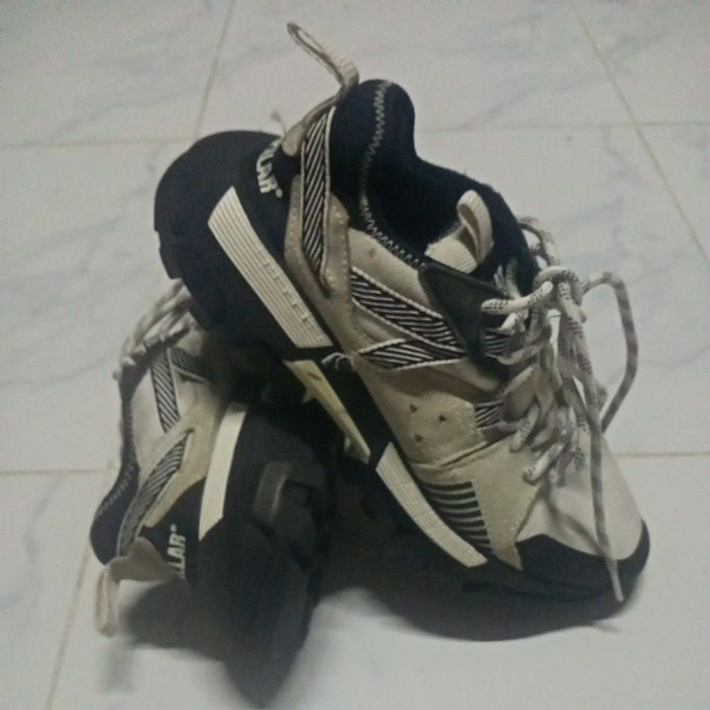 Cat Footwear Unisex's Raider Sport