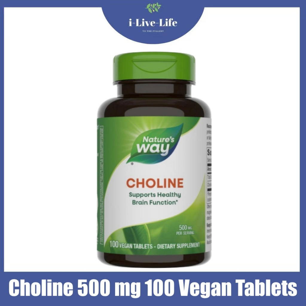 โคลีน Choline 500 mg 100 Vegan Tablets - Nature's Way