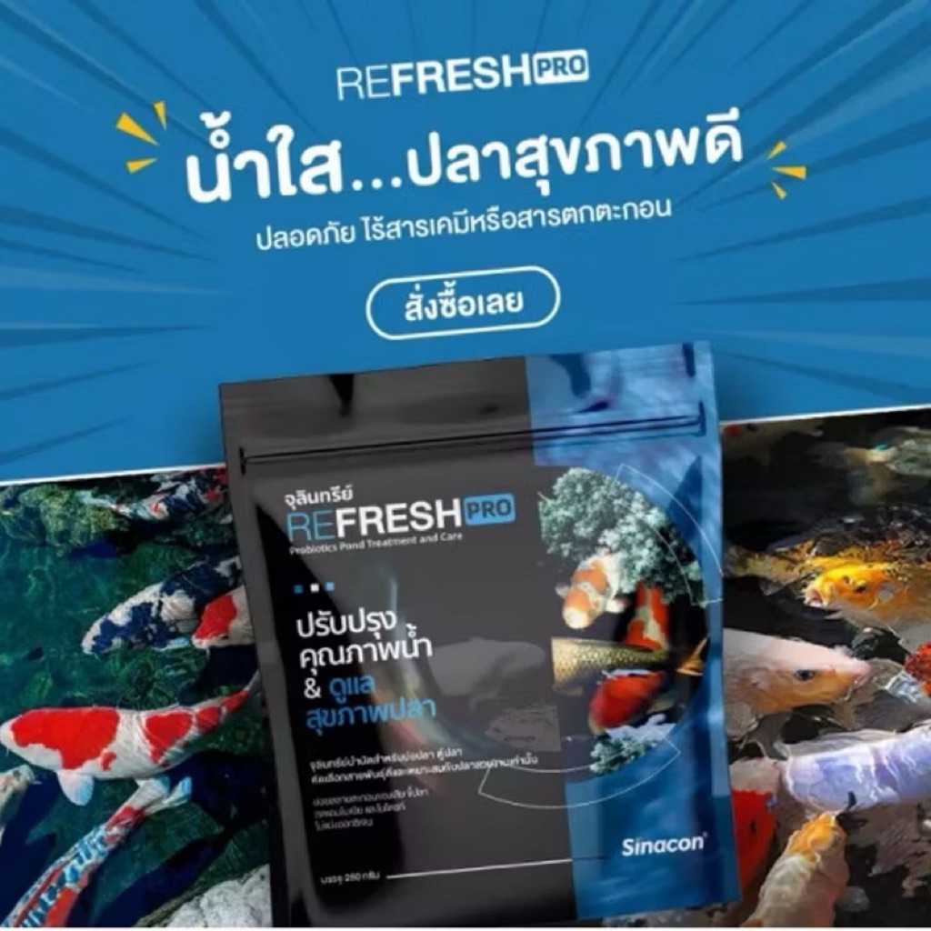 ผลิตภัณฑ์จุลินทรีย์ Refresh Pro 250 กรัม สำหรับบ่อและตู้ปลา