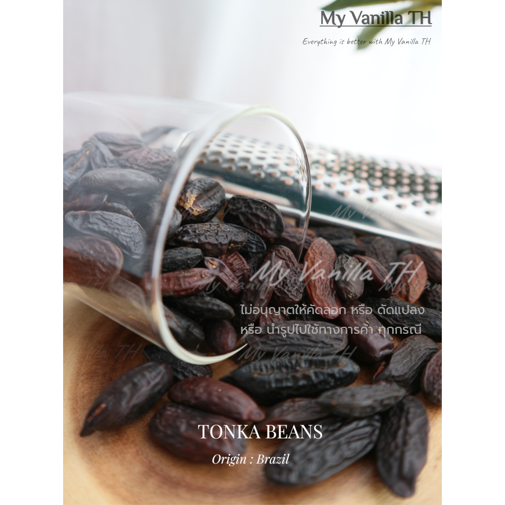 <<มาใหม่>> ถั่วทองก้า TONKA BEAN**นำเข้าจาก Brazil (Amazon) **เกรดA  บรรจุ 10 กรัม**