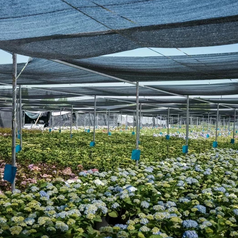 👍1ผืนใช้ได้50 ปี👍สแลนกันแดด ตาข่ายกรองแสง สแลนกรองแสง ตาข่ายกันแดด  แสลนบังแดด 55%75%95% ทอหนาแน่น กันแดด ระบายอากาศ - รูปที่ 7