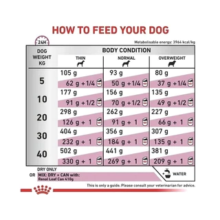Royal Canin Vet Dog 7 kg Renal สุนัขโรคไต