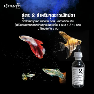 ใบโอน็อค BIO-KNOCK ผลิตภัณฑ์ดูแลปลา มี 4 สูตร สำหรับปลาสวยงาม ใช้ได้กับปลาน้ำจืด และปลาทะเล