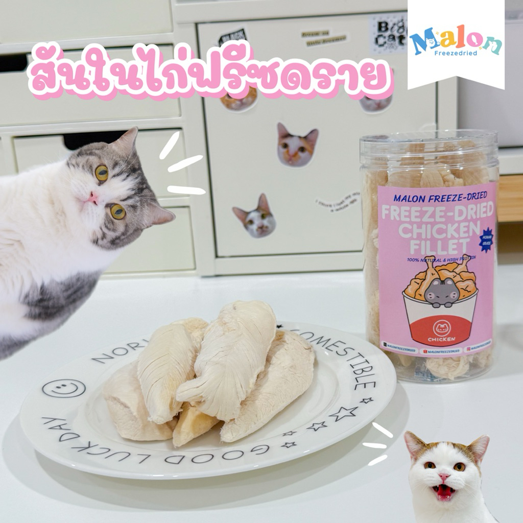 สันในไก่ฟรีซดราย MalonFreezedried / ขนมหมาฟรีซดราย ขนมแมวฟรีซดราย