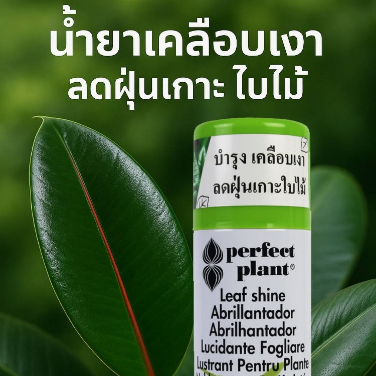 Perfects Leaf Shine สเปรย์ฉีดใบเงา ใบมัน เคลือบเงาใบไม้ สเปรย์ดูแลรักษาใบพืช 200ml