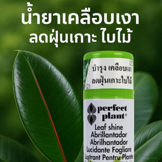 Perfects Leaf Shine สเปรย์ฉีดใบเงา ใบมัน เคลือบเงาใบไม้ สเปร…