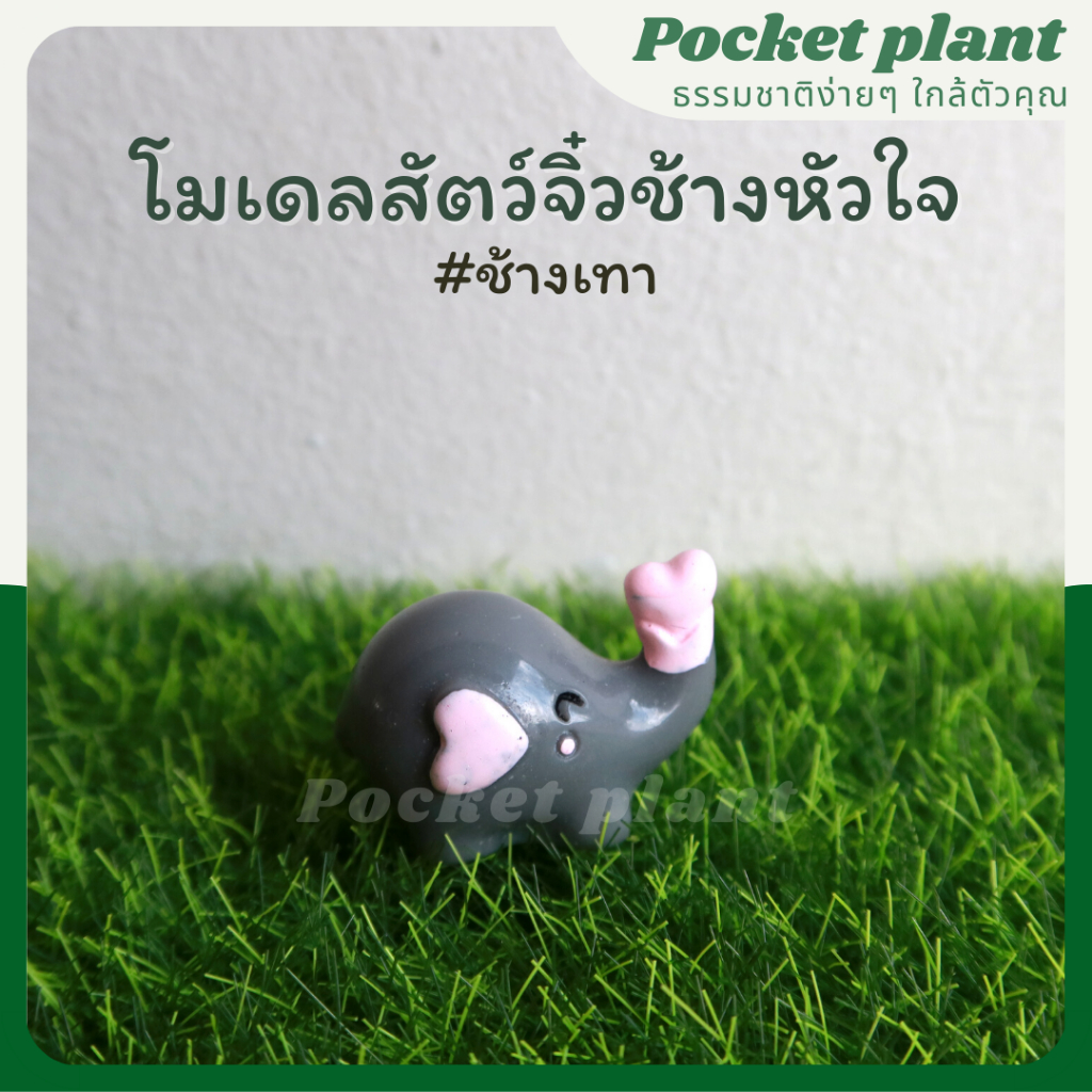 มุมมอง 5