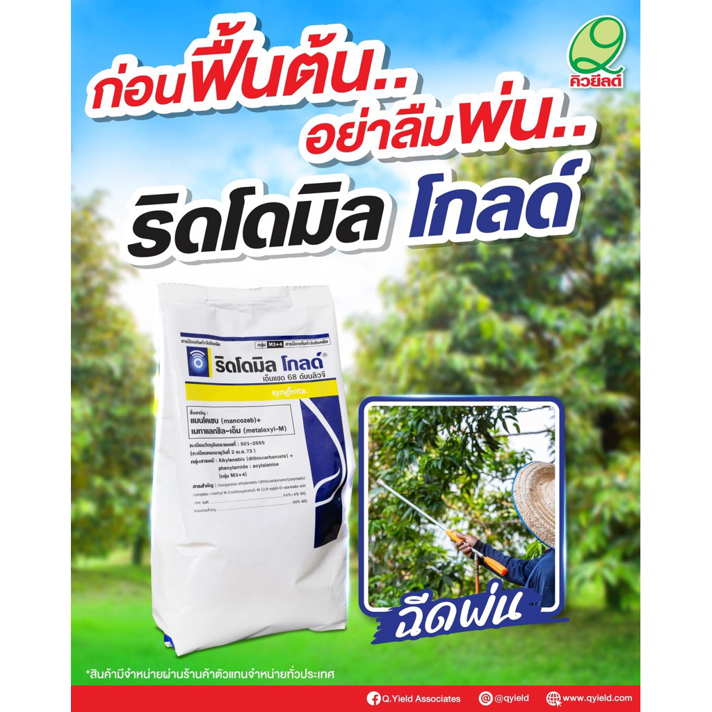 ป้องกันเชื้อรา รากเน่า โคนเน่า แมนโคเซบ + เมทาแลกซิลเอ็ม // ริดโดมิล โกลด์ ขนาด 500 กรัม
