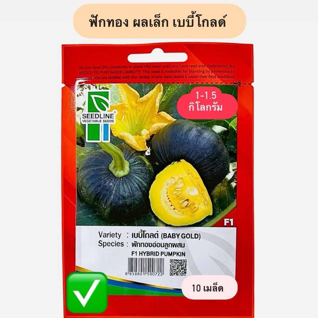 ฟักทอง ลูกเล็ก 1-1.5 กิโล เบเบี้โกลด์ ตราซีดไลน์ (10 เมล็ด)