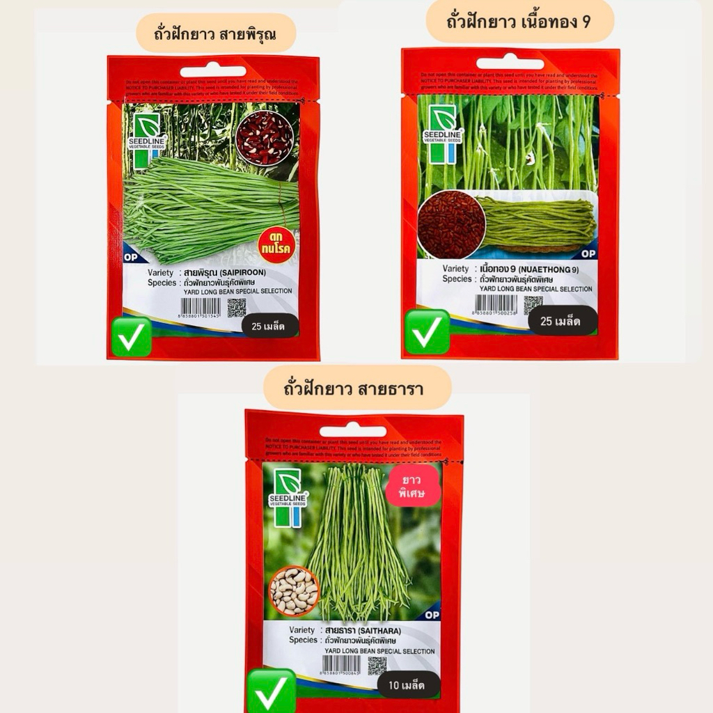 ถั่วฝักยาว พันธุ์พิเศษ สายพิรุณ ,เนื้อทอง9,สายธารา (10-25 เมล็ด)