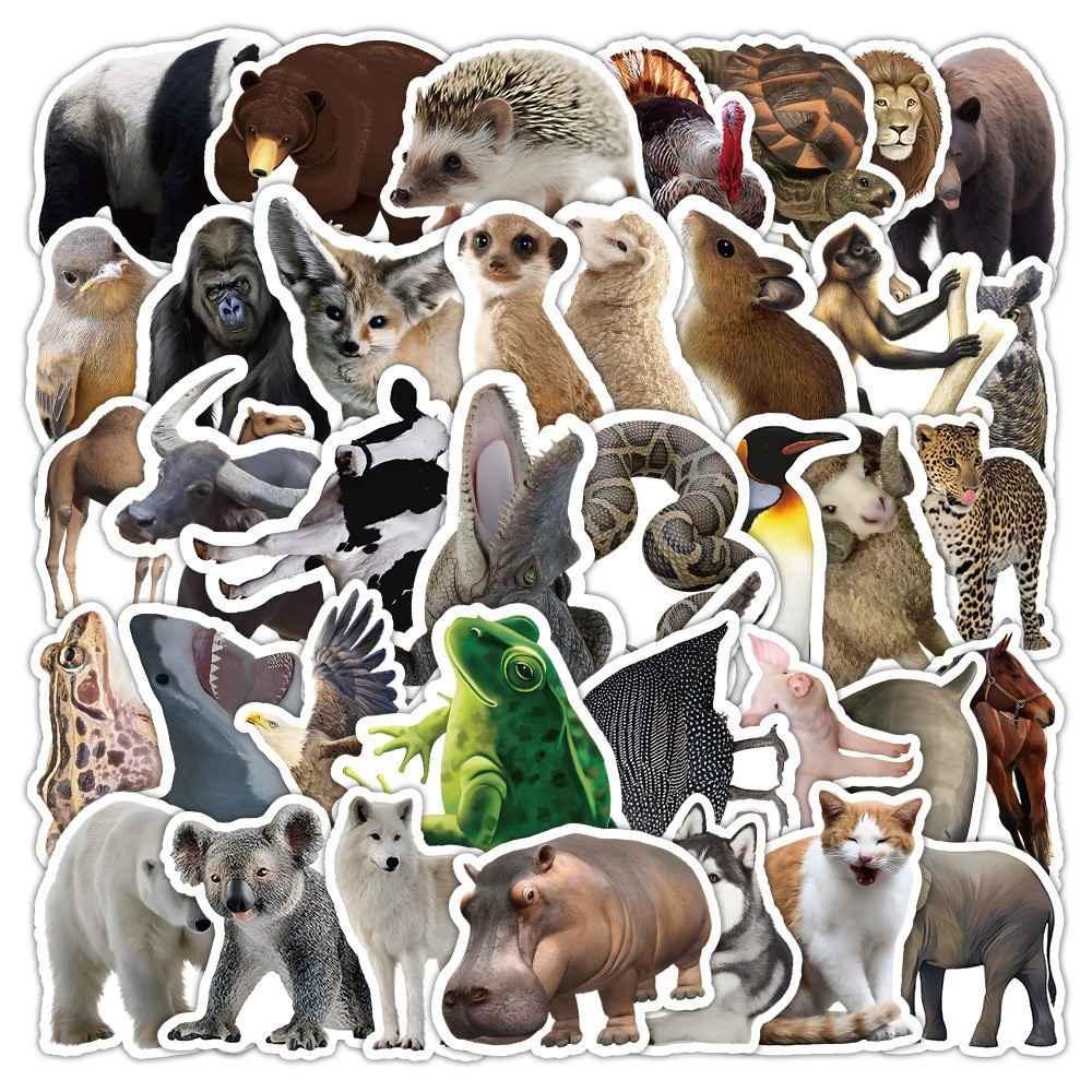 [พร้อมส่ง] 50ชิ้น PVCสติกเกอร์ DIY ลาย การ์ตูน สัตว์ เสือ หมี ฮิปโป นก งู แพนด้า Realistic Cute Animal Sticker กันน้ำ