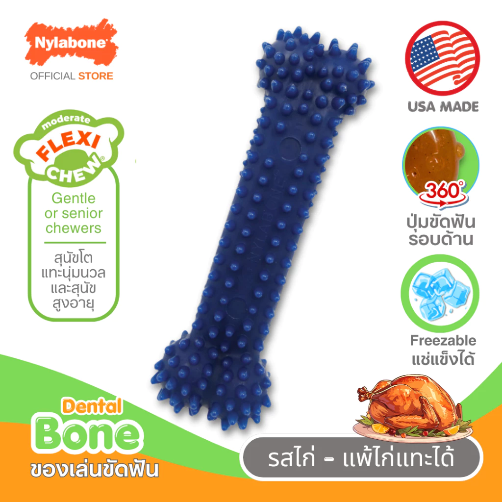 ðšðļMade in USAðšðļ Nylabone Flexi Chew Textured Dental Bone Dog Chew ToyāļāļāļāđāļĨāđāļāļāļąāļāļāļąāļāļŠāļļāļāļąāļāļĄāļĩāļāļļāđāļĄāļĢāļāļāļāđāļēāļ