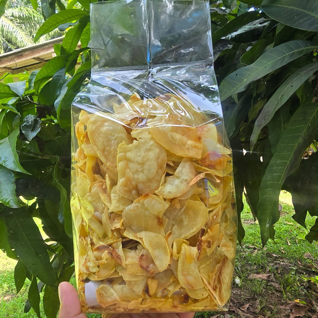 ทุเรียนทอด ทุเรียนหมอนทองทอด ขนาด500กรัม