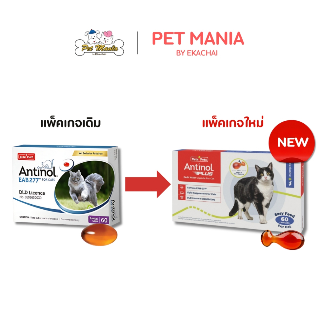 Antinol  For Cat 60 Cap แพคเกจใหม่ ( อาหารเสริมบำรุงข้อสำหรับแมว 1กล่อง บรรจุ 60 เม็ด )