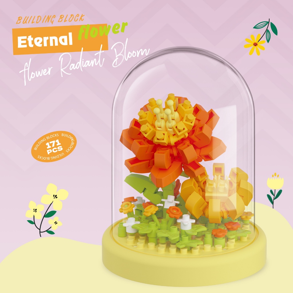 รูปภาพ 8