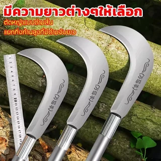 【นำเข้าเหล็ก】มีดตัดหญ้ามอร์น, เคียว, เคียวแมงกานีส, มีด, มีดเหล็กแมงกานีส, เคียว, เคียวตัดแต่ง, เคียวหญ้า, มีดแมงกานีส