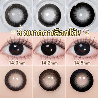 Magister Realcon คอนแทคเลนส์สายตาสั้น สีดํา คอนแทคเลนส์ 14.0…