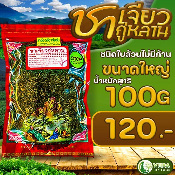 ชาเจียวกู่หลัน คัดพิเศษ คัดเฉพาะยอด ขนาด100กรัม ของไทย จากดอยแม่สะลอง