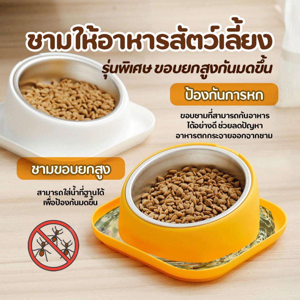 ชามอาหารสัตว์เลี้ยง ทรงสูงกันมด ถอดล้างได้ ชามแมว/สุนัขเล็ก-กลาง สแตนเลสเกรด304 มีขอบยางกันลื่น