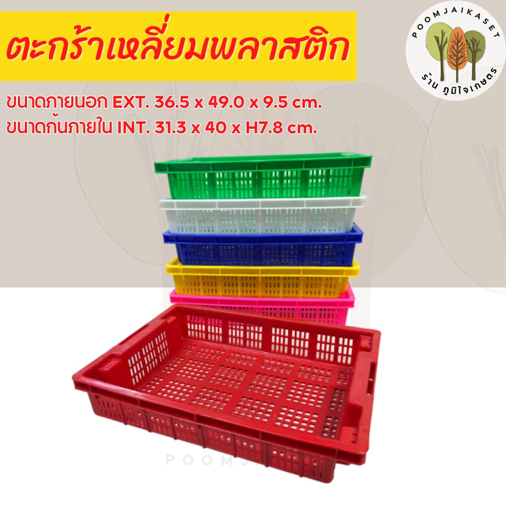 ลังปลาหมึก ขนาดภายนอก 36x48.5x9 ซม.(กxยxส) ตะกร้าใส่ทุเรียน ลังเนื้อทุเรียน ลัง ตะกร้าเตี้ย ตะกร้า407