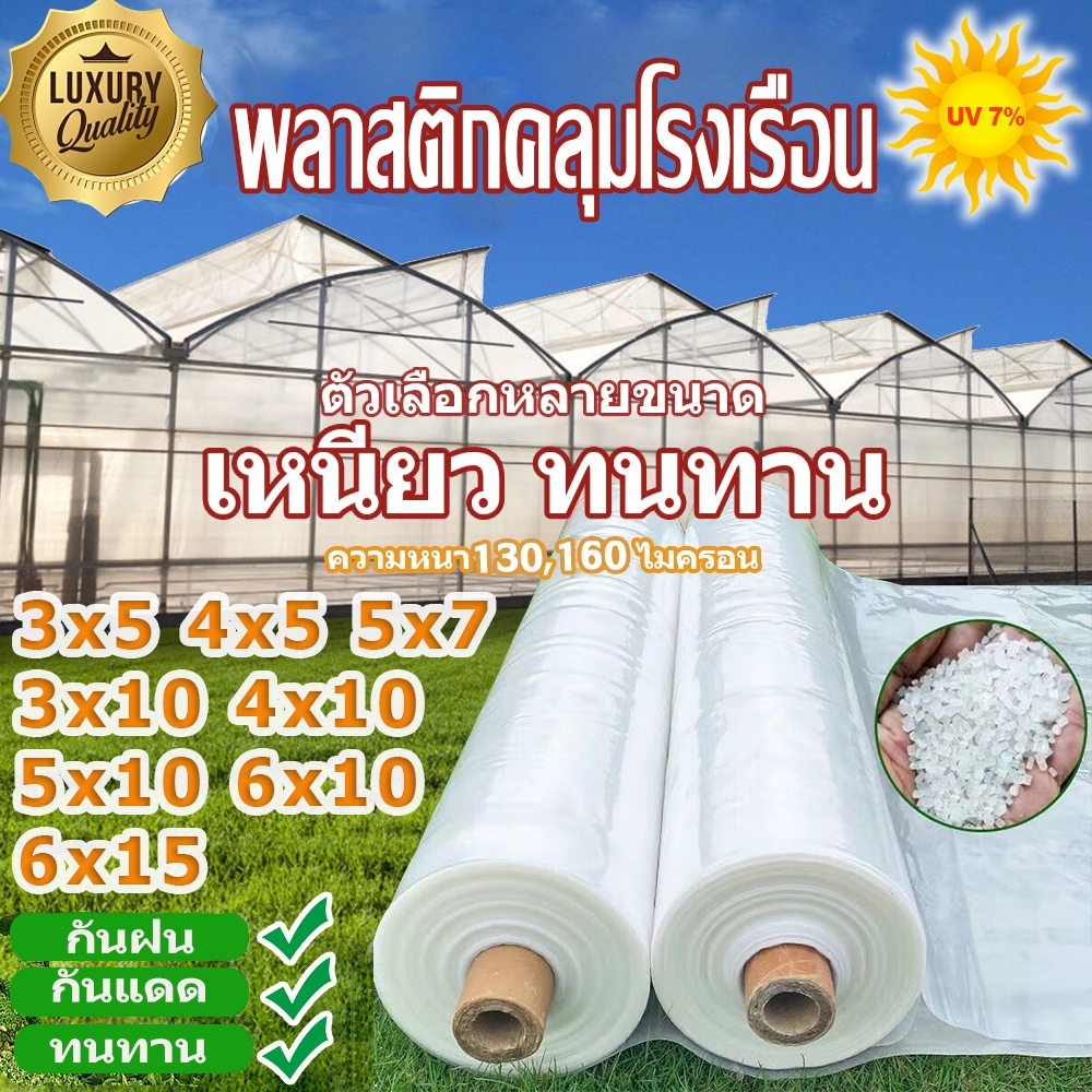 Daily Gold หลังคาพลาสติกใสกันสาด PE ฟิล์มเรือนกระจกกันฝนโปร่งใสขนาด 3x5 4x10 6x15 เมตรความหนา 120/150 ไมครอน UV7%