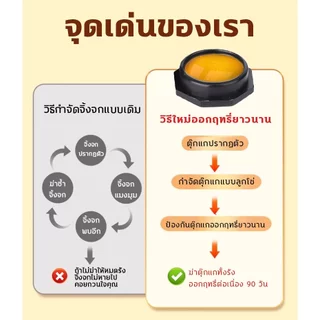 ฆ่าจิ้งจกในบ้าน ยาฆ่าจิ้งจก ยาฆ่าตุ๊กแก สูตรอัปเกรด แบบเหยื่อ กำจัดจนหมด ปลอดภัยกับสัตว์เลี้ยง ไม่มีตุ๊กแกทั่วบ้าน