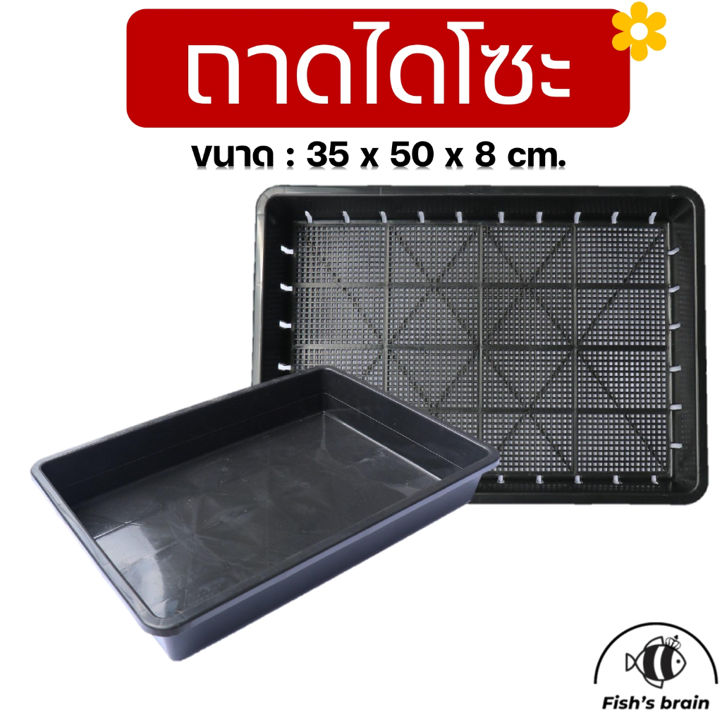 ถาดไดโซะ ถาดเพาะกล้า ถาดเพาะชำ แบบทึบ แบบเจาะรู