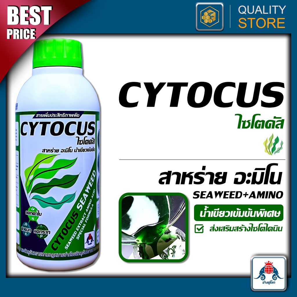 Cytocus สาหร่ายน้ำเขียวข้น ขนาด 1 ลิตร ส่งเสริมการสร้างไซโตไคนิน การแบ่งเซลล์ แตกกอ ขยายเซลล์
