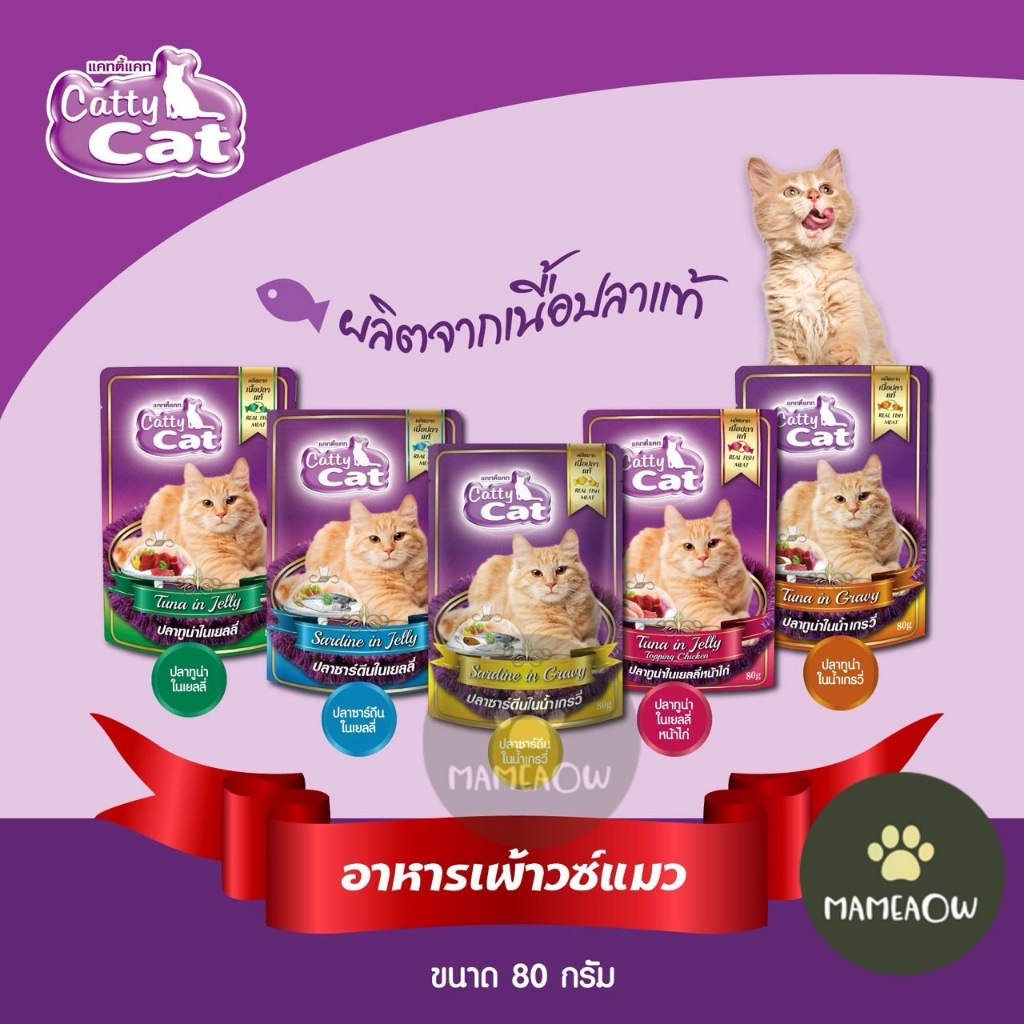 [[ยกลัง]] Cattycat  อาหารแมวแบบซอง สำหรับ แมวโต/ลูกแมว แคทตี้แคท 80gx48ซอง