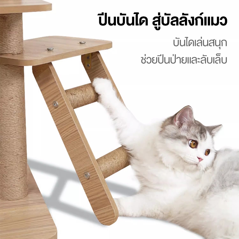 คอนโดแมวหลังใหญ่หลายดีไซน์ ไม้สวยไร้เหลี่ยมคม คอนโดไม้ รูปที่ 7