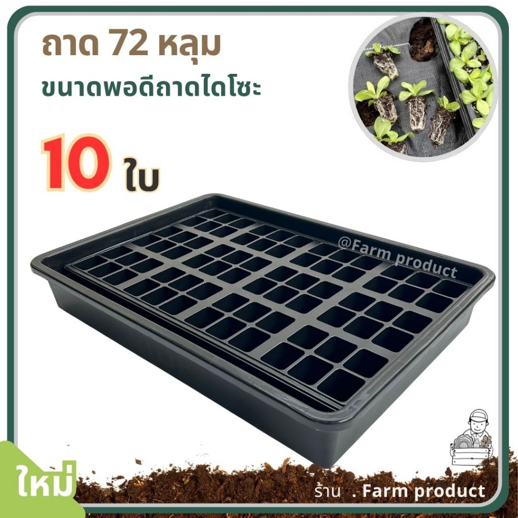 ถาดเพาะกล้า 72 หลุม (แพ็ก10 ใบ) หนา หลุมลึก, ส่งฟรี !