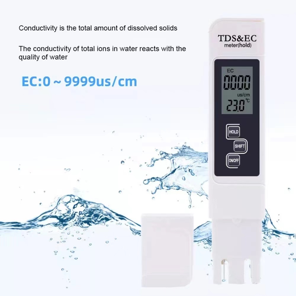 รูปภาพ 6