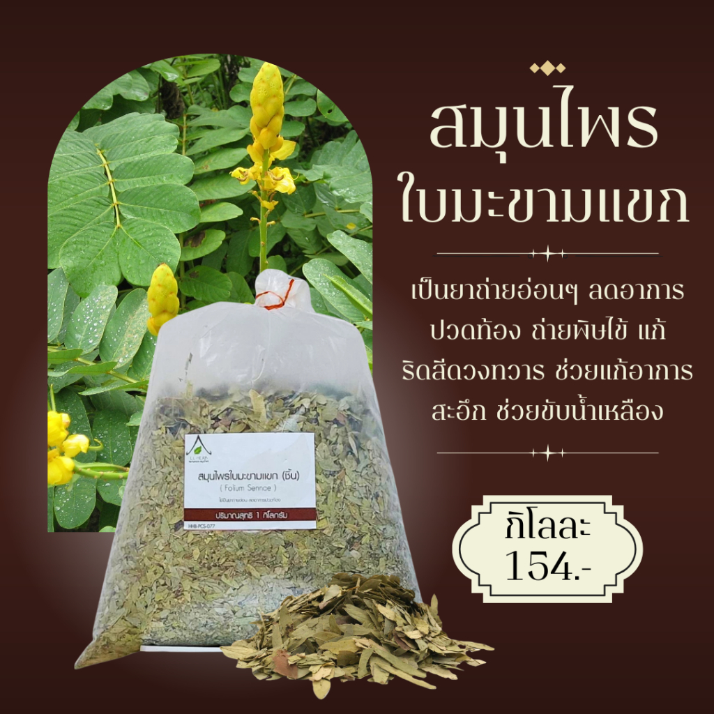 ใบมะขามแขก ตากแห้งแบบชิ้น ขนาด 1 กิโลกรัม (Senna Leaves Dried Size 1Kg.) สมุนไพรตากแห้งแบบชิ้น