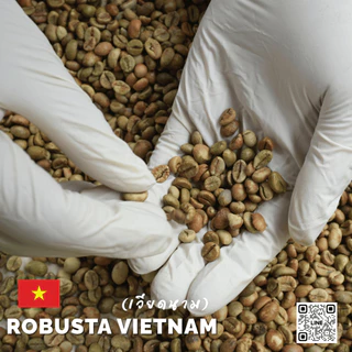 สารกาแฟโรบัสต้า เวียดนาม Robusta Vietnam บรรจุ 1 Kg. RK.Coffeebean.[พร้อมส่ง]