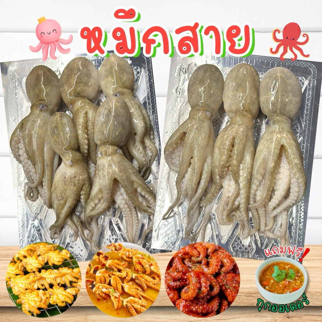 ‼️ส่งด่วนวันเดียวถึง+ฟรีน้ำจิ้มซีฟู้ด‼️ปลาหมึกสายสดคละไซส์ 🐙 สด สะอาด พร้อมส่งทั่วไทย 🚐