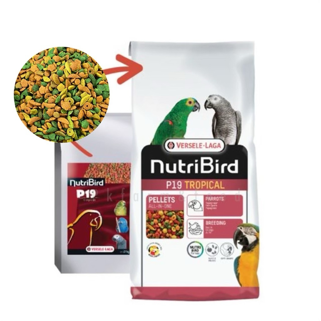 🅺🅺🅵 (10kg.) NutriBird P19 tropical อาหารนก นูทรีเบิร์ดพี19