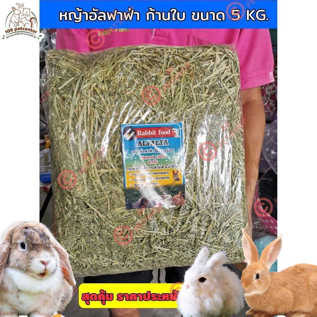 หญ้าอัลฟาฟ่าปึก 5 KG ไม่ร่อนฝุ่น ราคาประหยัดสุดคุ้ม
