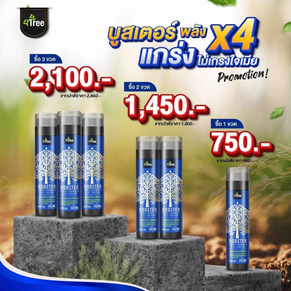 ชุดบูสเตอร์โฟร์ทรี (Booster 4Tree) ของแท้ 100 %