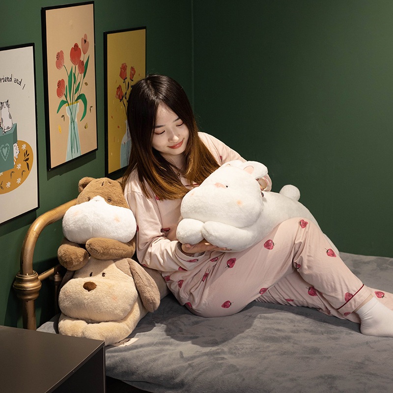 รูปภาพ 5