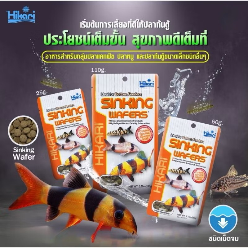 Hikari Sinking Wafers ฮิคาริเม็ดจม อาหารปลาเกรดพรีเมี่ยม สำหรับปลาพื้นตู้ ปลาแพะ ปลาหมู ซัคเกอร์ - รูปที่ 2