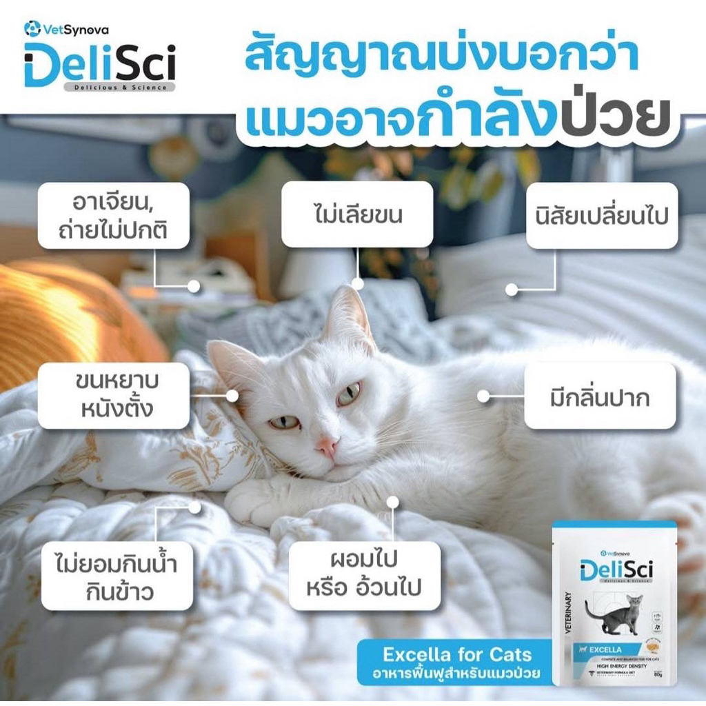 (( ยกกล่อง 12 ซอง )) Delisci Excella wet for Cat 80 g Exp. 23/06/2027 อาหารฟื้นฟูสำหรับแมวป่วย ขาดสารอาหาร และพักฟื้น