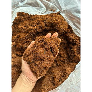 CoCo Peat Substrate โคโค่พีท ขุยมะพร้าว ล้างสารเทนนิน ค่าECต่ำ