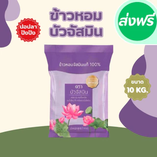 ข้าวขายดี!!! ราคาถูก ประหยัด ข้าว