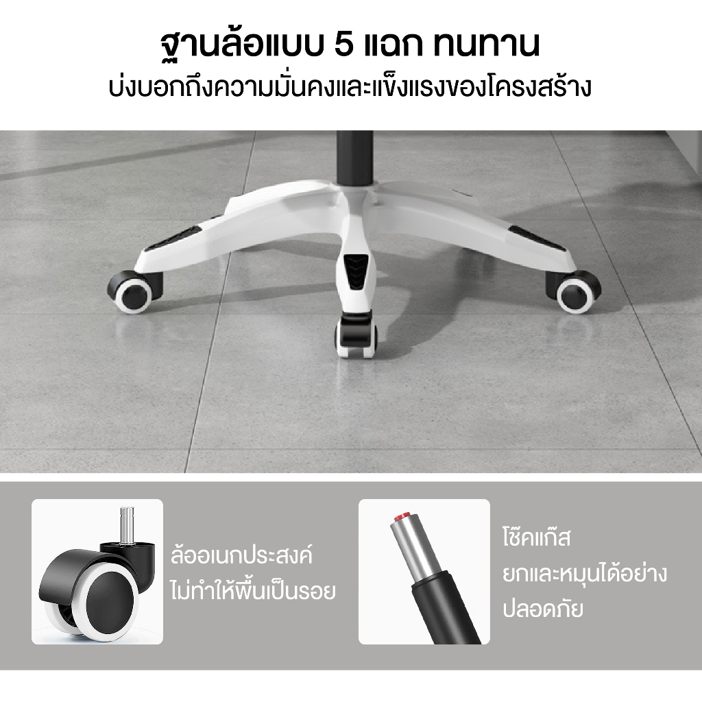 รูปภาพ 5