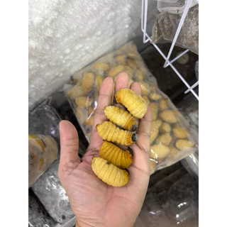 ด้วงสาคู ใหญ่พิเศษ ไม่ปรุสรส สัตว์เลี้ยงกินได้