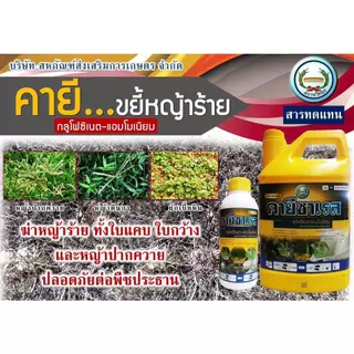 คายีซาเรส 4 ลิตร ตราหวีทอง กลูโฟซิเนต น้ำสีฟ้า กำจัดวัชพืชทั้งใบแคบ ใบกว้าง แบบสัมผัสและแทรกซึม ปลอดภัยต่อพืช หญ้าตีนกา