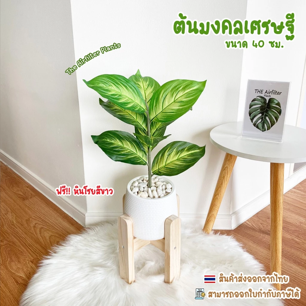 ต้นไม้ปลอม(ฟรี!!หินโรย) ต้นมงคลเศรษฐีสูง35-45ซม. ตั้งหน้าทีวี ตั้งโต๊ะและหัวเตียง ต้นไม้มงคล พร้อมกระถางและหินสีขาว